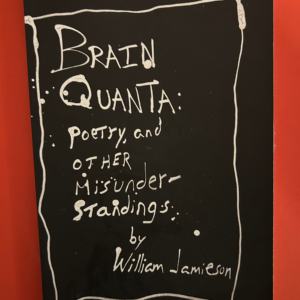 Brain Quanta Book (glitchless edition?)